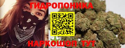 дживик Кунгур